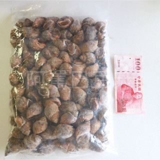 帶殼鳳螺 約2kg