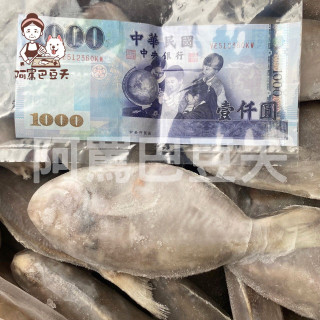 4/5肉魚/約10kg/一尾約150g