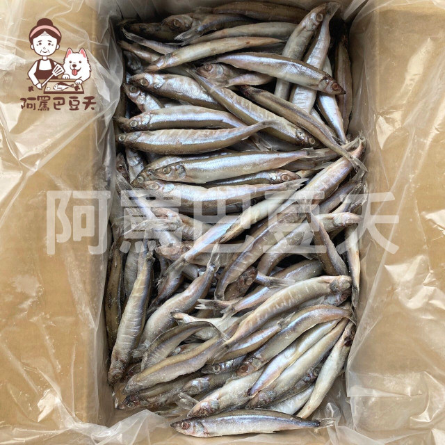 原料柳葉魚/約3kg/一尾約30g