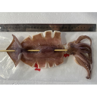 魷魚串 170-230g