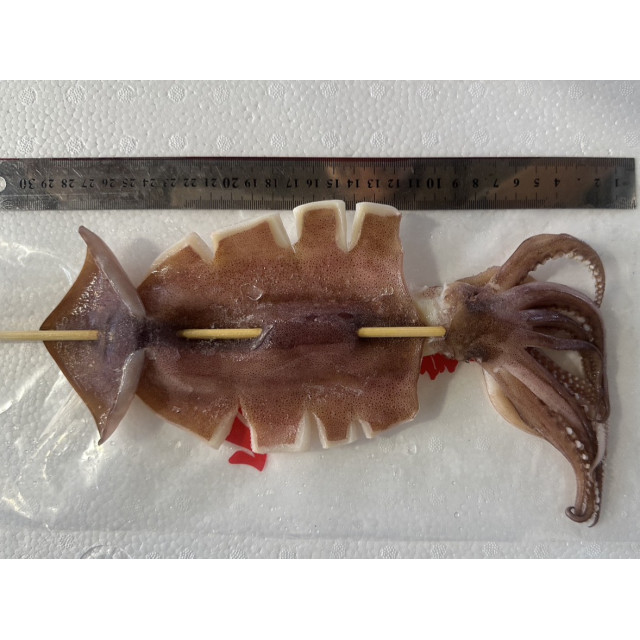魷魚串 170-230g 魷魚串 170-230g