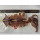 魷魚串 170-230g 魷魚串 170-230g