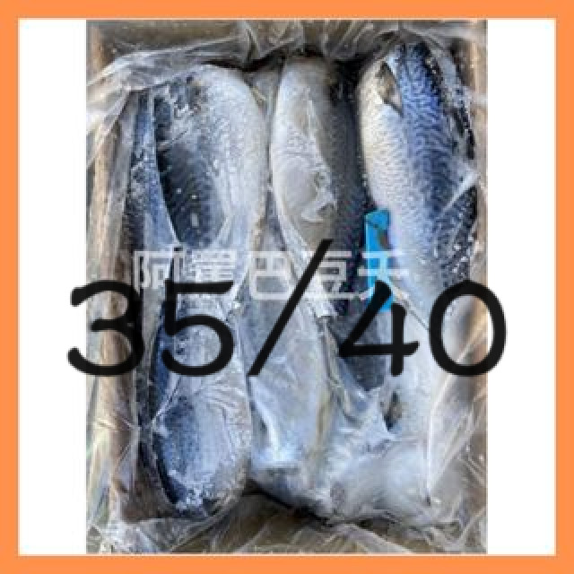 台灣鯖魚片30/35 薄鹽/約6000g/平均約180g