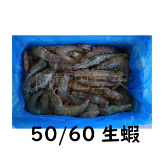 活凍生白蝦 50/60 1050g±10%
