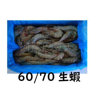 活凍生白蝦 60/70 1050g±10%