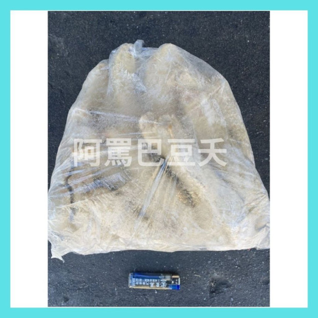 菜卷/高麗菜卷約3000g/20入